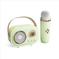 Enceinte Bluetooth portable avec microphone sans fil