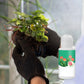 Solution liquide universelle pour l'activation des plantes et des fleurs (50 % de réduction)