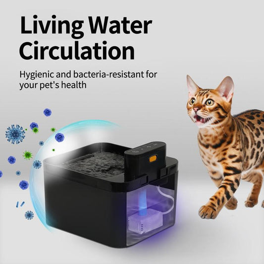 Fontaine automatique pour chats 2,2 L Fontaine à boire pour animaux domestiques fonctionnant sur piles, avec capteur de mouvement, conception sans fil et silencieuse pour chiens et chats #TOP-SÉLECTION