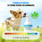 🔥 50 % de réduction ! 🐾 Mousse désodorisante sans rinçage pour animaux – Formule végétale, 400 ml & pompe pratique 🌿🐶