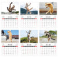 🔥Dernier jour, 50 % de réduction - 😻Nouveau Calendrier Mural 2026 Chats et Chiens