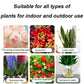 🌿Solution liquide d'activation de plantes et de fleurs