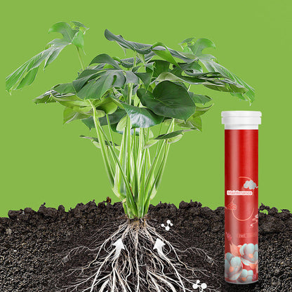 🌵🌸Comprimés nutritionnels universels vitalité pour la croissance des plantes🍃