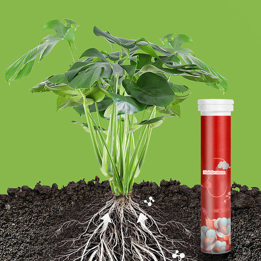 🌵🌸Comprimés nutritionnels universels vitalité pour la croissance des plantes🍃