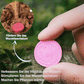 🌵🌸Comprimés nutritionnels universels vitalité pour la croissance des plantes🍃