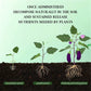🌵🌸Comprimés nutritionnels universels vitalité pour la croissance des plantes🍃