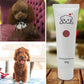 Kit de teinture en crème pour chiens avec effet de teinture sûr et durable！