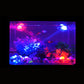 Spot d'aquarium à direction lumineuse réglable pour aquarium à poissons