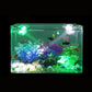 Spot d'aquarium à direction lumineuse réglable pour aquarium à poissons