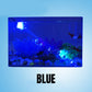 Spot d'aquarium à direction lumineuse réglable pour aquarium à poissons