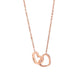Boîte de roses éternelles - avec collier gravé et roses artificielles