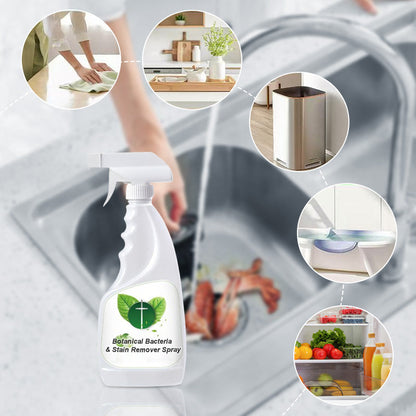 Spray antibactérien et antitaches à base de plantes