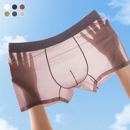Caleçons en soie glacée transparente pour homme