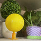 Boule piège à mouches des fruits adhésive avec support et LED