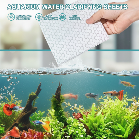 🐠🔥 Feuilles clarifiantes aquarium purifient l’eau, éliminent turbidité et entretiennent poissons ✨