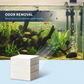 🐠🔥 Feuilles clarifiantes aquarium purifient l’eau, éliminent turbidité et entretiennent poissons ✨