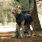 🐾 Vendredi noir : 50 % de réduction ! Manteau réfléchissant d’hiver pour chiens 2025 – Doublure épaisse, col montant & sécurité nocturne 🌈🧥