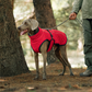 🐾 Vendredi noir : 50 % de réduction ! Manteau réfléchissant d’hiver pour chiens 2025 – Doublure épaisse, col montant & sécurité nocturne 🌈🧥