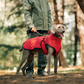 🐾 Vendredi noir : 50 % de réduction ! Manteau réfléchissant d’hiver pour chiens 2025 – Doublure épaisse, col montant & sécurité nocturne 🌈🧥