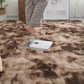🌈 50 % DE RÉDUCTION ! 🛋️ Tapis de sol en peluche dégradé – Ultra-doux, antidérapant et lavable ✨