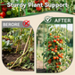 Améliorez Votre Jardin en 1 Cliq | Tour à Plantes Ajustable sans Outil | Pour Lianes & Grimpantes 🌱【Vente Éclair】