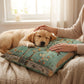 ⏳Spécial à durée limitée⏰Housse de coussin décorative pour canapé et lit🛋️🛏️