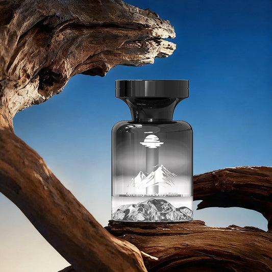 🔥 Dernier jour, 50 % de réduction !🔥 Désodorisant de voiture longue durée de 110 ml
