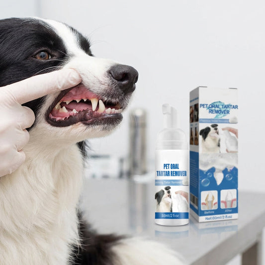 🐾 2 ACHETÉS, 1 OFFERT ! ✨ Mousse détartrante pour l'hygiène bucco-dentaire des animaux