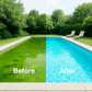 Purificateur liquide pour piscine