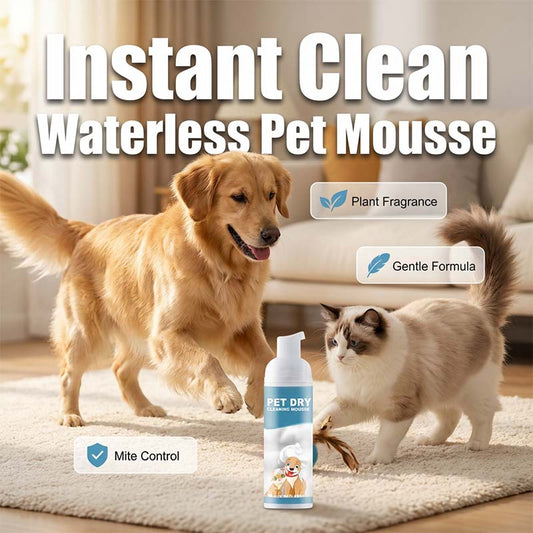 Mousse nettoyante sans eau pour chiens et chat