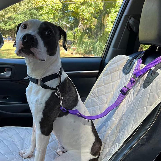 💐50% DE RÉDUCTION ! Harnais de Sécurité Auto – Ceinture Élastique Anti-Étranglement 🐶✔️【Offre Limitée】