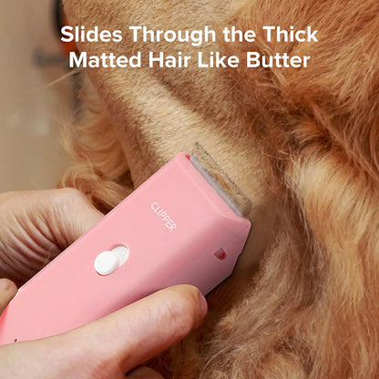 🐾✂️ PROMO FLASH 50% ! Tondeuse Animaux Silencieuse & Sans Fil – Lame Céramique, Étanche IPX7, Autonomie 90 min, Charge USB 🔋