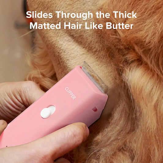 🐾✂️ PROMO FLASH 50% ! Tondeuse Animaux Silencieuse & Sans Fil – Lame Céramique, Étanche IPX7, Autonomie 90 min, Charge USB 🔋