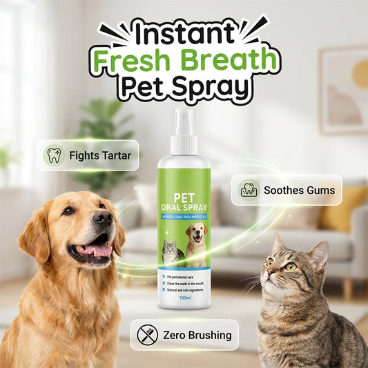 Spray dentaire naturel pour animaux de compagnie