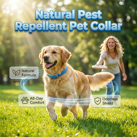 -50% Aujourd’hui 🐶🌿 Collier Anti-Insectes aux Huiles Essentielles