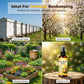 🐝 Spray naturel pour attirer les abeilles en plein air