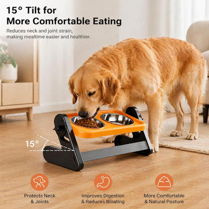🎉 2026 Sale — Over 33600 Sold! ⏰Adjustable Height Ergonomic Elevated Pet Bowl｜15° Tilt Stainless Steel Feeder ✨