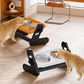 🎉 2026 Sale — Over 33600 Sold! ⏰Adjustable Height Ergonomic Elevated Pet Bowl｜15° Tilt Stainless Steel Feeder ✨