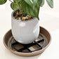 🌱🛒 -50% ! 🏡Rehausseur de Pot Économiseur de Racines – Élève les jardinières, favorise la circulation d'air, garde les sols propres – pour usage intérieur & extérieur. 🔥🌿