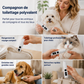 🔥🎁 2+1 GRATUIT !!🥳 💞 Plus de 50 000 vendus ! ⚡🐾 Lime à ongles électrique pour chiens et chats avec indicateur de batterie LED, limage doux des ongles