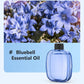 Diffuseur d’aromathérapie automatique