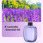 Diffuseur d’aromathérapie automatique