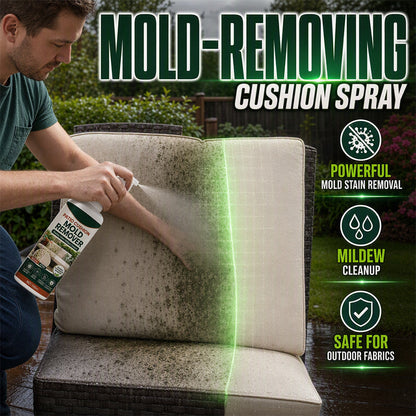 🏆Achetez-en 1, Obtenez 1 Gratuit🎁Spray anti-moisissure pour coussins de terrasse✨