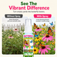 Spray parfumé pour attirer les papillons dans le jardin