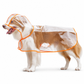 Imperméable transparent pour chien avec capuche – Du XS au 8XL