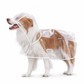 Imperméable transparent pour chien avec capuche – Du XS au 8XL