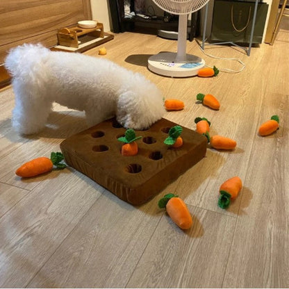 Peluche Carotte pour Chien – Jouet Interactif à Arracher | Tapis de Carottes